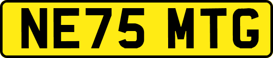 NE75MTG