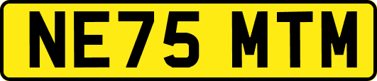 NE75MTM