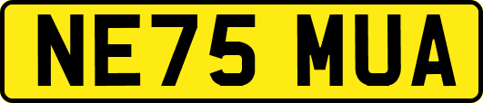 NE75MUA