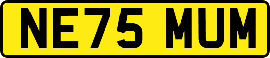 NE75MUM