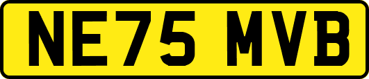 NE75MVB