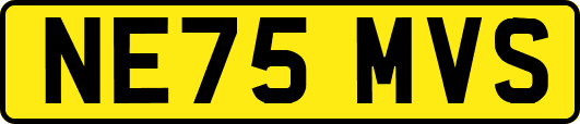 NE75MVS