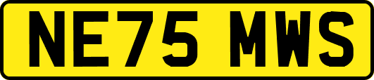 NE75MWS