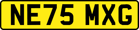 NE75MXG
