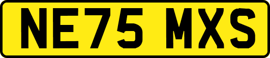 NE75MXS