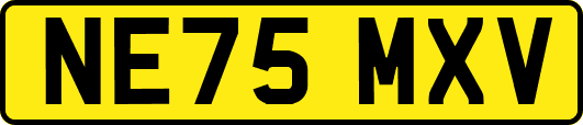NE75MXV