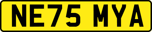 NE75MYA