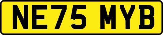 NE75MYB