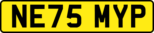 NE75MYP
