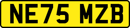 NE75MZB