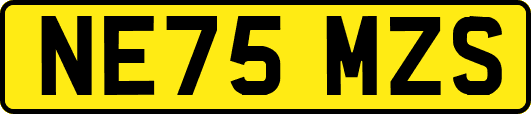 NE75MZS