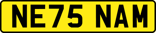 NE75NAM