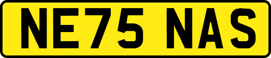 NE75NAS