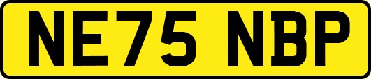 NE75NBP