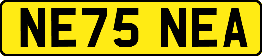 NE75NEA