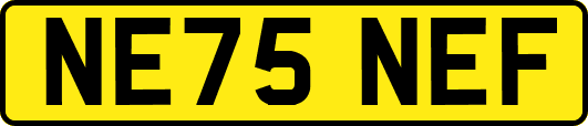 NE75NEF