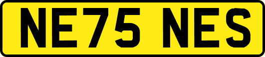 NE75NES