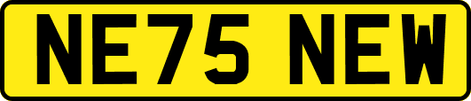NE75NEW