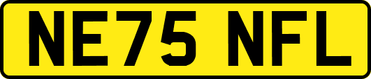 NE75NFL
