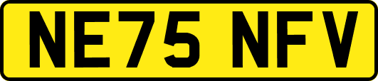NE75NFV