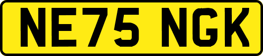 NE75NGK