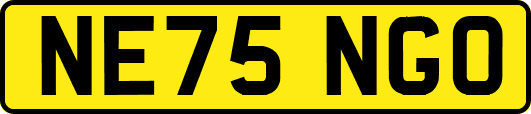 NE75NGO