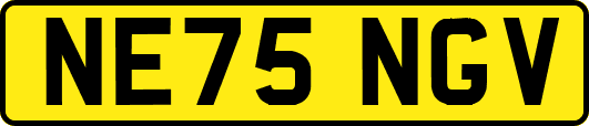 NE75NGV