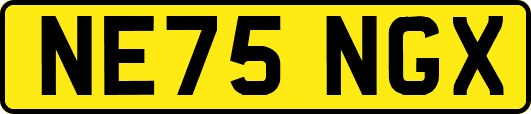 NE75NGX