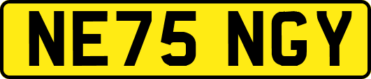 NE75NGY