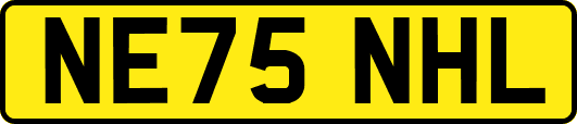 NE75NHL