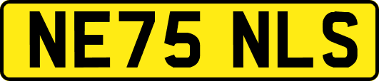 NE75NLS