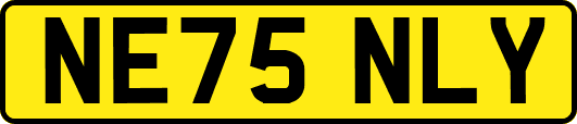 NE75NLY