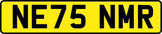 NE75NMR