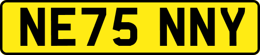 NE75NNY