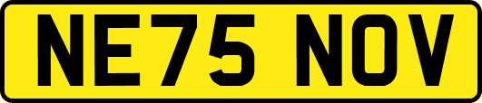 NE75NOV