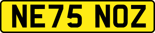 NE75NOZ