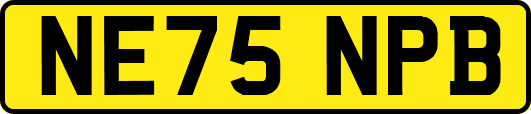NE75NPB