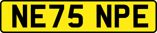 NE75NPE