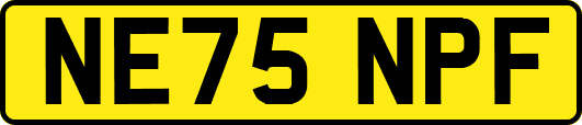 NE75NPF