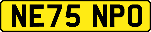 NE75NPO