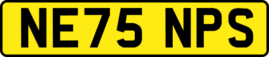 NE75NPS