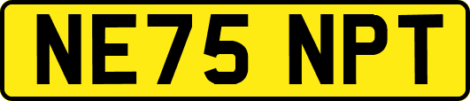 NE75NPT