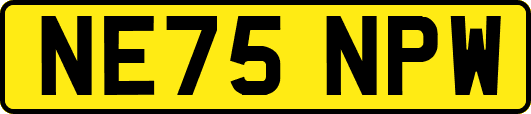 NE75NPW