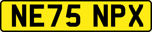 NE75NPX