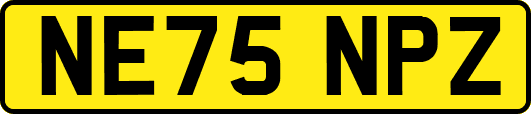 NE75NPZ