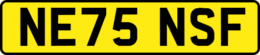 NE75NSF