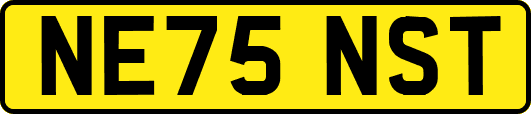 NE75NST