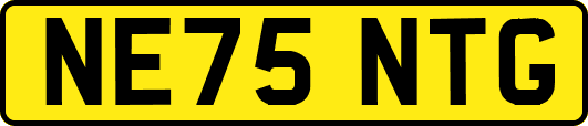 NE75NTG