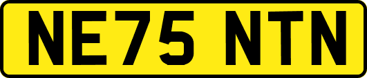 NE75NTN