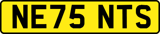 NE75NTS